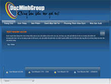 Tablet Screenshot of ducminhgroup.com